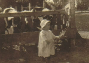 Young Kenneth Wenger with the Holstein Cows